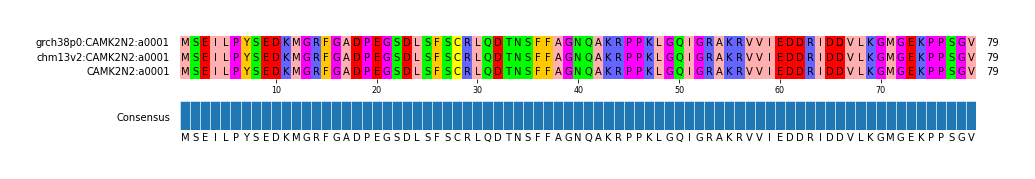 Multiple Alignments (by translate haplotype similarity)
