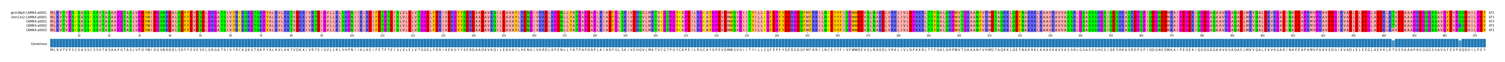 Multiple Alignments (by translate haplotype frequency)