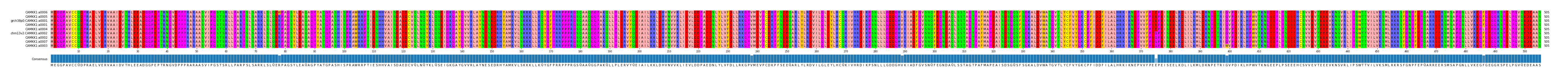 Multiple Alignments (by translate haplotype similarity)