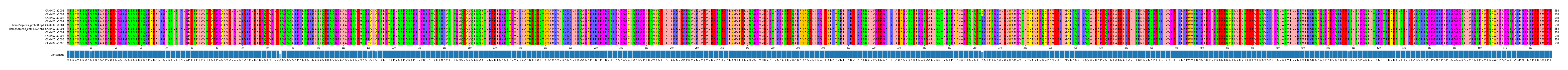 Multiple Alignments (by translate haplotype similarity)
