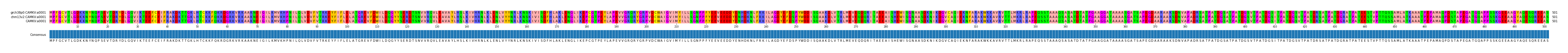 Multiple Alignments (by translate haplotype frequency)