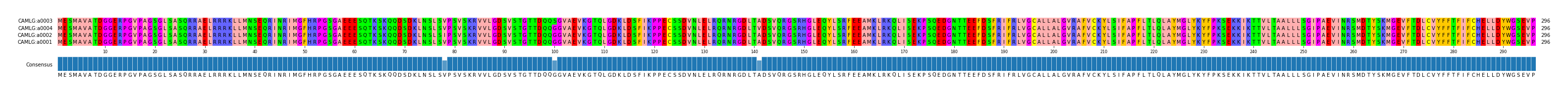 Multiple Alignments (by translate haplotype similarity)