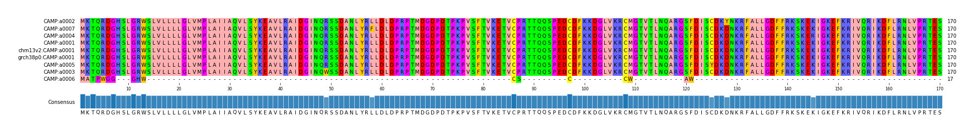 Multiple Alignments (by translate haplotype similarity)