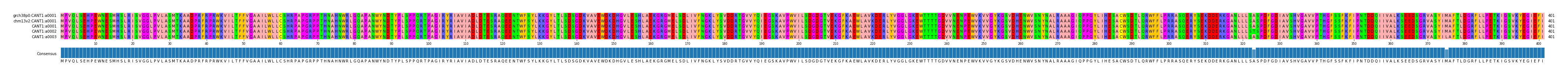 Multiple Alignments (by translate haplotype frequency)