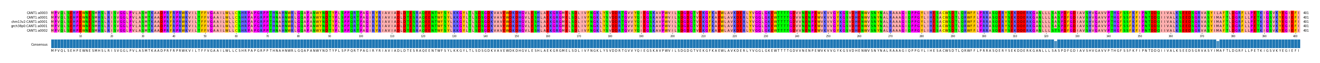 Multiple Alignments (by translate haplotype similarity)