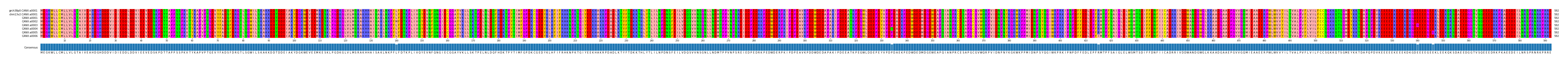 Multiple Alignments (by translate haplotype frequency)