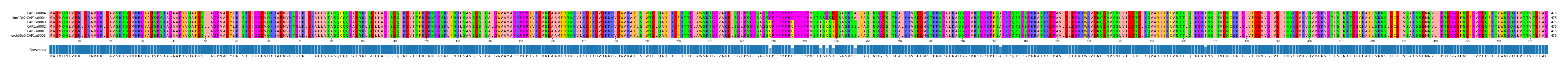 Multiple Alignments (by translate haplotype similarity)