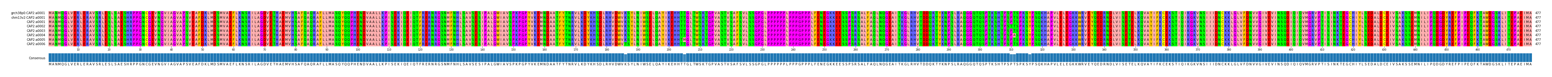 Multiple Alignments (by translate haplotype frequency)