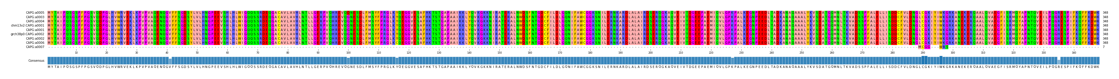 Multiple Alignments (by translate haplotype similarity)