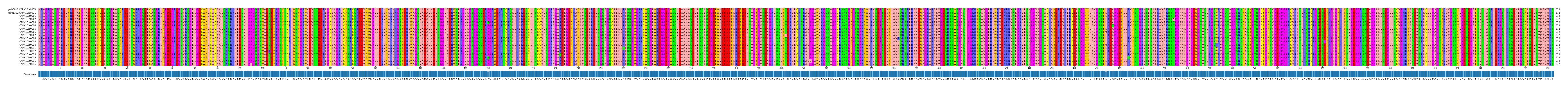 Multiple Alignments (by translate haplotype frequency)