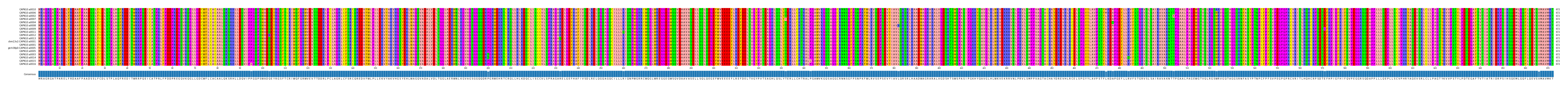Multiple Alignments (by translate haplotype similarity)