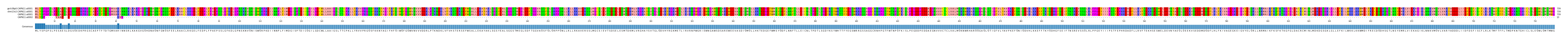 Multiple Alignments (by translate haplotype similarity)