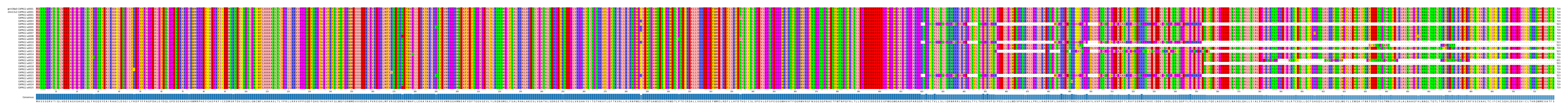 Multiple Alignments (by translate haplotype frequency)