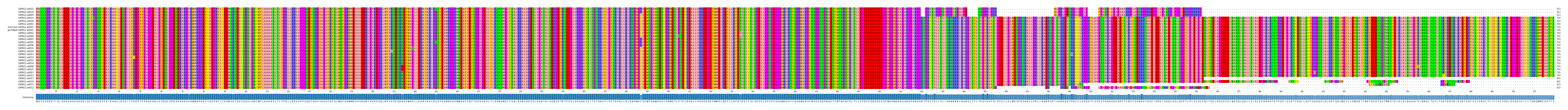 Multiple Alignments (by translate haplotype similarity)
