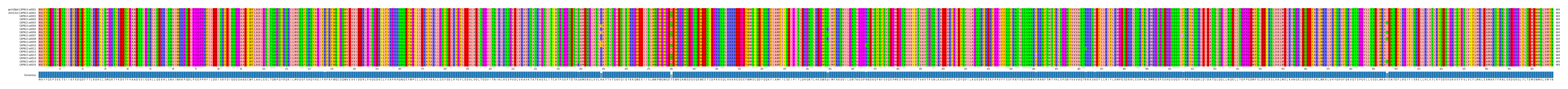 Multiple Alignments (by translate haplotype frequency)