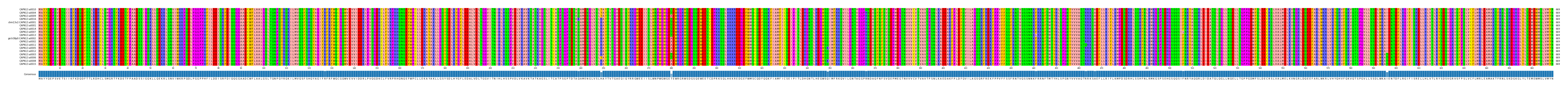 Multiple Alignments (by translate haplotype similarity)