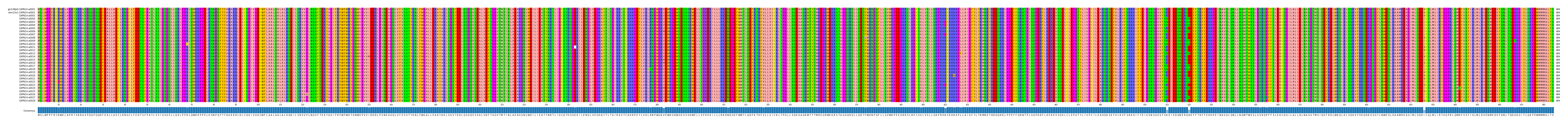 Multiple Alignments (by translate haplotype frequency)