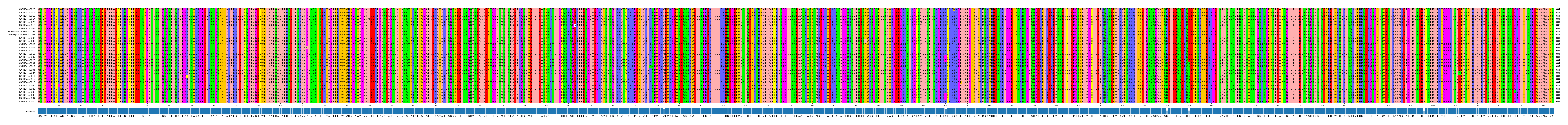 Multiple Alignments (by translate haplotype similarity)