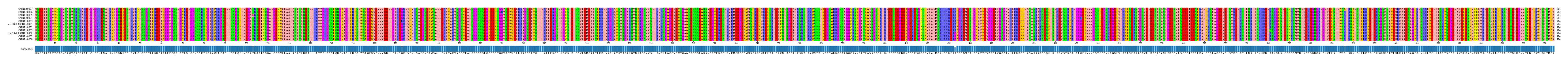 Multiple Alignments (by translate haplotype similarity)