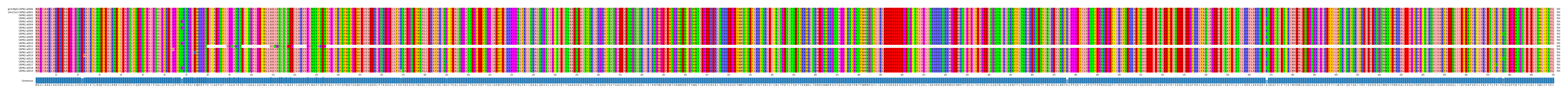 Multiple Alignments (by translate haplotype frequency)
