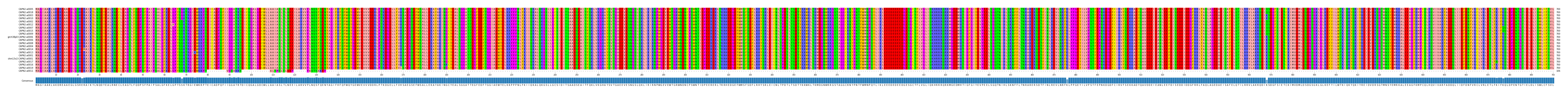 Multiple Alignments (by translate haplotype similarity)