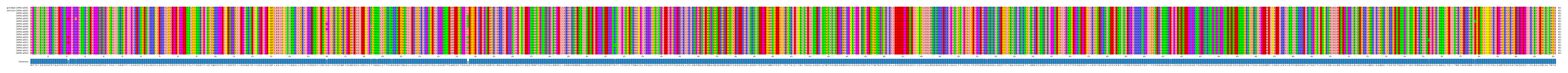 Multiple Alignments (by translate haplotype frequency)