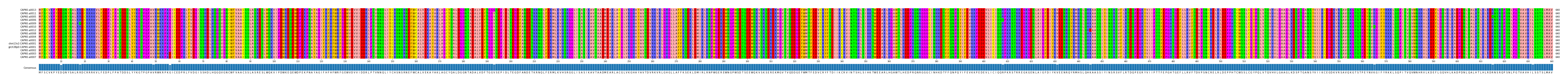 Multiple Alignments (by translate haplotype similarity)
