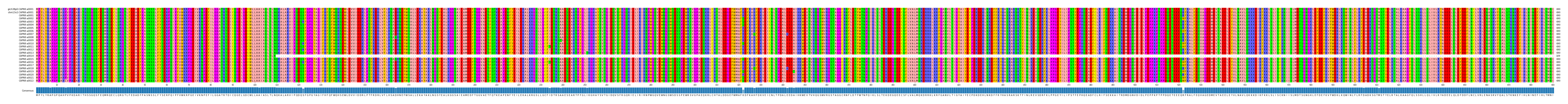 Multiple Alignments (by translate haplotype frequency)
