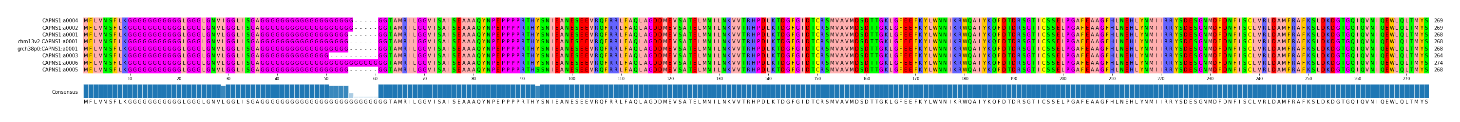 Multiple Alignments (by translate haplotype similarity)