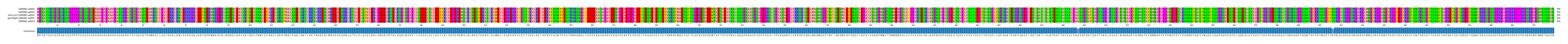 Multiple Alignments (by translate haplotype similarity)