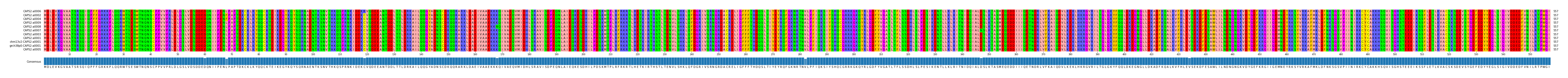 Multiple Alignments (by translate haplotype similarity)