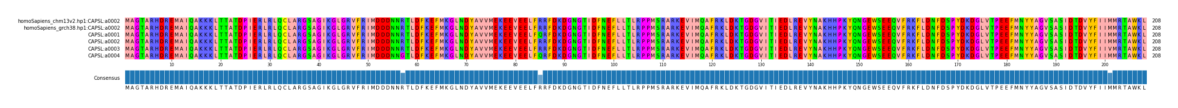 Multiple Alignments (by translate haplotype frequency)