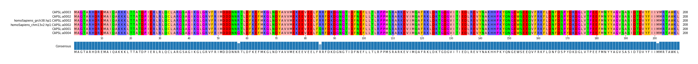 Multiple Alignments (by translate haplotype similarity)