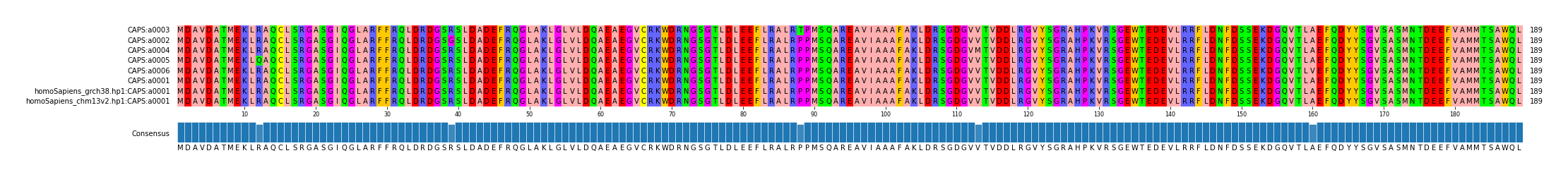 Multiple Alignments (by translate haplotype similarity)