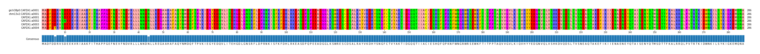 Multiple Alignments (by translate haplotype frequency)