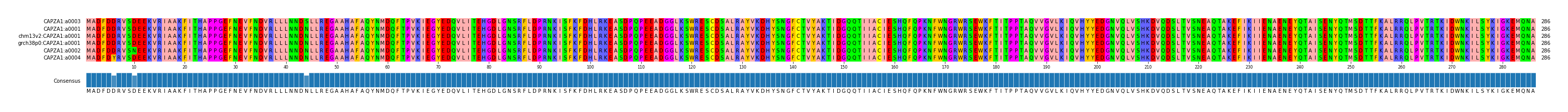 Multiple Alignments (by translate haplotype similarity)