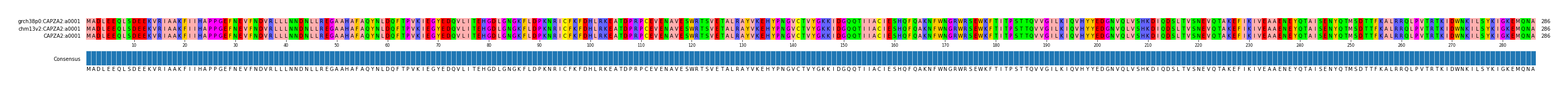 Multiple Alignments (by translate haplotype frequency)