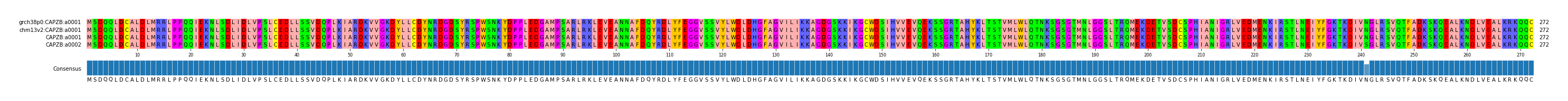 Multiple Alignments (by translate haplotype similarity)