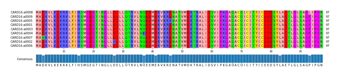 Multiple Alignments (by translate haplotype similarity)