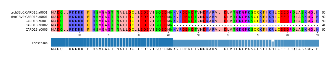 Multiple Alignments (by translate haplotype similarity)