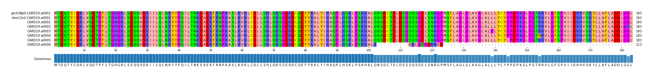 Multiple Alignments (by translate haplotype frequency)