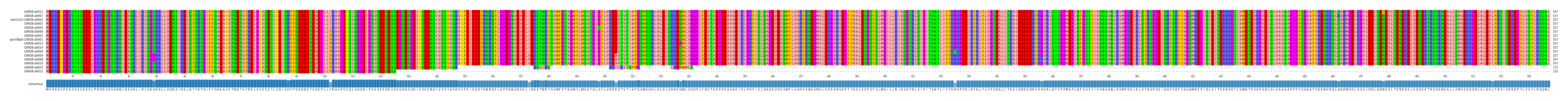 Multiple Alignments (by translate haplotype similarity)