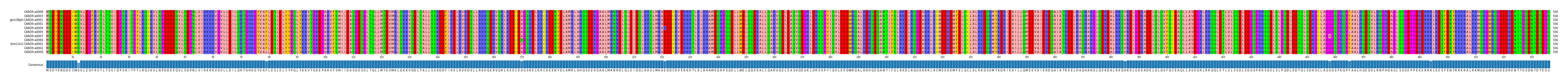 Multiple Alignments (by translate haplotype similarity)