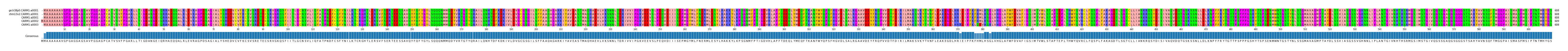 Multiple Alignments (by translate haplotype frequency)