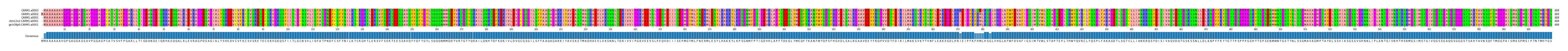 Multiple Alignments (by translate haplotype similarity)