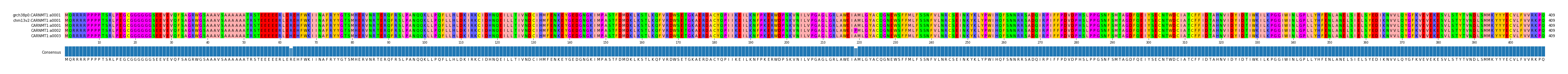 Multiple Alignments (by translate haplotype frequency)