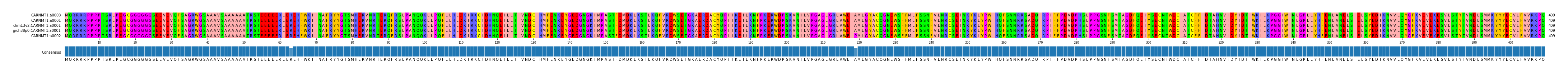 Multiple Alignments (by translate haplotype similarity)