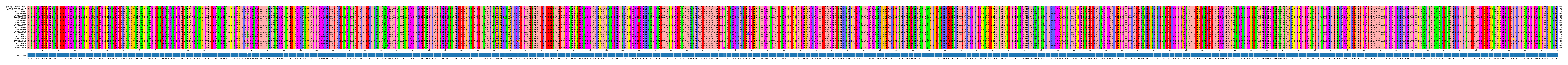Multiple Alignments (by translate haplotype frequency)