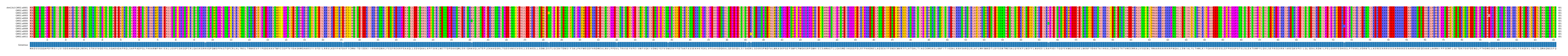 Multiple Alignments (by translate haplotype frequency)