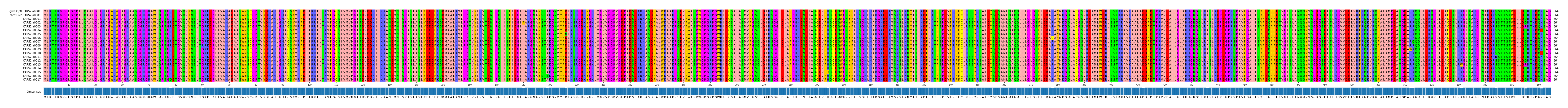 Multiple Alignments (by translate haplotype frequency)
